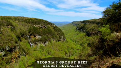 What Region in Georgia is Best Known for Ground Beef