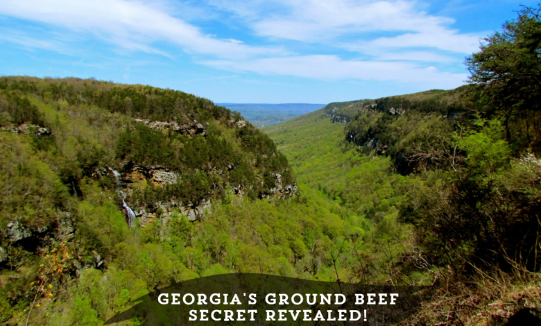 What Region in Georgia is Best Known for Ground Beef