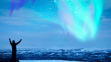 Northern Lights