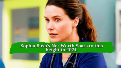 Sophia Bush Net Worth